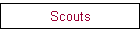 Scouts