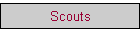Scouts